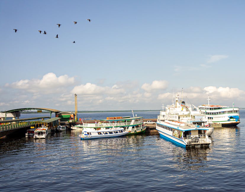 Vista de Manaus